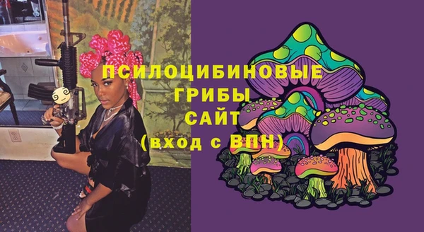 ECSTASY Нязепетровск