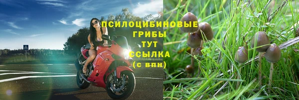 ECSTASY Устюжна